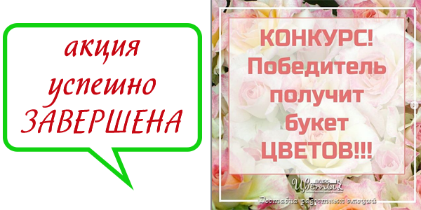 КОНКУРС! Победитель получит БУКЕТ Альстромерии!
